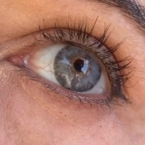 Siri Gray Urban Layer